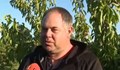 Земеделец от Русенско: Очакваме поевтиняване на черешите до десетина дни