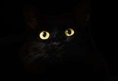 Фаталната дата може да поражда страхове сред суеверните но на нея