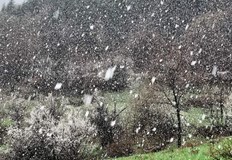 Сняг заваля днес в района на РудоземНа надморска височина около
