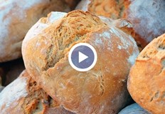 Това е възможно ако нулевата ставка на ДДС за хляб