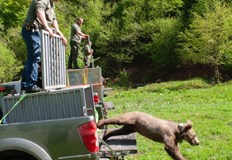 Министерството на околната среда и водите Фондация Четири лапи и