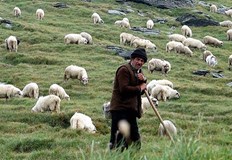 Парите се очаква да дойдат от временната рамка която разработва