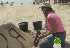 Жестът е на артистичното семейство Пол и Реми Хогарт На бургаския