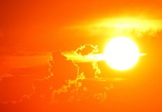 Португалия и Германия също са пострадали от екстремни горещиниПрез уикенда