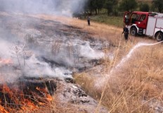 Три сигнала за пожари са наложили намесата на екипите на