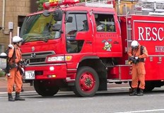 Той искал да подплаши ято оси със сигнална ракетаРъководителят на