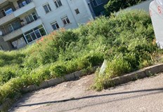 Всяка година се повтаря тази история но вече сме началото