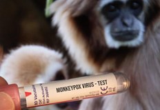 От години се провеждат симулации за възможното протичане на пандемии