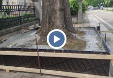 Снимка от възмутен гражданин обиколи социалните мрежиБетонирано дърво предизвика множество