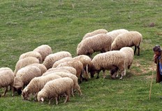 След побоя мъжът е приет с тежки наранявания и с