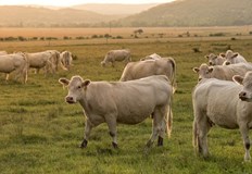 Ако този метан бъде уловен с него може да се