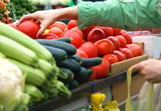 Цената на оранжерийните домати тази седмица отстъпи с 8 5 на