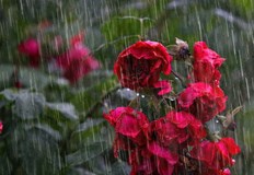 Обявен е жълт и оранжев код за 12 области в