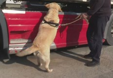 Четириногите търсачи се използват за товари които са опаковани по специален начин31