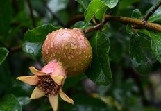 Максималните температури ще бъдат между 20 deg и 25 deg През нощта над по голямата