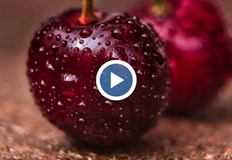 В средата на май вече нетърпеливо навлизаме в сезона на