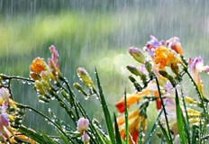 Топло за сезона време днес а в някои райони вече