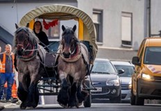 Стефани Кирхнер изчислява че спестява по 250 евро на месецГерманката Стефани Кирхнер