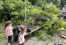 Дървото се стоварило с трясък на пейката още стоят чантите