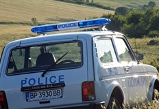 Трупове на коне окървавиха Врачанския Балкан7 от красивите животни били