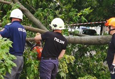 През изминалото денонощие три сигнала са наложили намесата на екипите