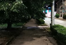 Клони на дърветата препречват пътя на пешеходците в РусеТова става
