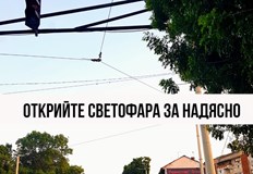 Проблем на много места в Русе клоните и листата