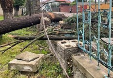 Стихията прекърши дървета събори електрически стълбове и нанесе материални щетиПрез