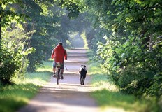 В събота може да достигнат до 31 deg през деняСутрешните температури