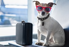 Какво трябва да се направи предварително и какво по време