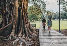 Утре ще е преобладава слънчево времеПрез нощта над Западна България