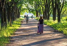 Максималните температури ще са между 23 deg и 28 deg През нощта северозападният