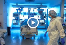 Експерти обсъдиха зачестяващите случаи на маймунската шаркаСветът е изправен пред