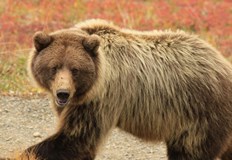 Войник от американската армия почина от наранявания получени при нападение