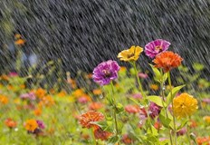 Дневните температури слабо ще се понижат и максималните ще са