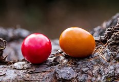 На 1 май църквата почита Св прор Иеремия Прпмчк Акакий Серски