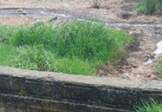 В края на миналата седмица експерти на РИОСВ Русе изпълниха заповед за