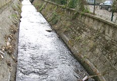 От прокуратурата потвърдиха за трагедиятаТрагичен инцидент в Стара Загора 12 годишно