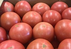 Майският розов домат от България се търгува за 4 лева