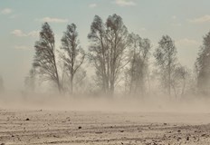 Това е третата поред силна пясъчна буря която връхлита Иран