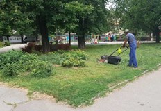 И през тази седмица продължава косенето по график на тревните