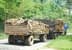 Освен дървесината са задържани превозното средство и превозният билет50 кубика