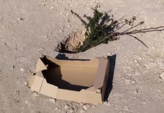 Йордан Стоянов от Русе публикува гневен коментар във фейсбук групата