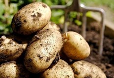 С почти 100 са се повишили разходите за декар земеделска