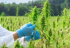 Депутати от управляващото мнозинство Продължаваме промяната Демократична България и