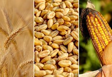 Цените ще бъдат повлияни основно от ситуацията в Украйна където