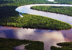 Нов LiDAR анализ на териториите в басейна на Амазонка предостави