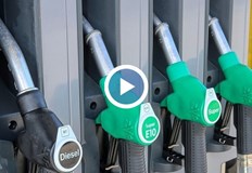 Експерти прогнозираха че се очаква успокоение на цените през следващия