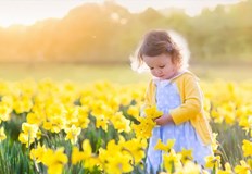 Утре ще преобладава слънчево времеПо значителни увеличения на облачността ще има