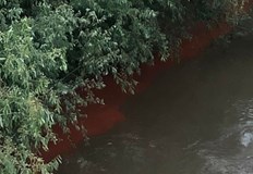 Река Русенски Лом продължава с изненадите днес цветните води